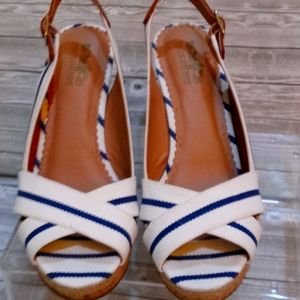 Coach and four striped wadgs